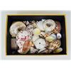 Image 1 : BOX FULL OF SEA SHELLS ASSORTED