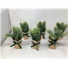Image 1 : Bee and Willow Kraft Wrapped Greenery (6ct)
