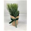 Image 2 : Bee and Willow Kraft Wrapped Greenery (6ct)