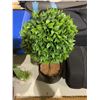 Image 2 : Small Table Top Faux Plant