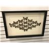 Image 1 : Framed Preserved Butterflies Art - 24in x 16in