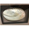 Image 2 : Shadow Box - Abalone Shell and Stone
