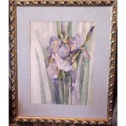 Iris Watercolor by Florence Upson Young #2391253