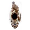 Image 7 : Iguana Lizards Pottery Vase