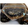 Image 3 : Zuni Picasso Marble Lizard Fetish