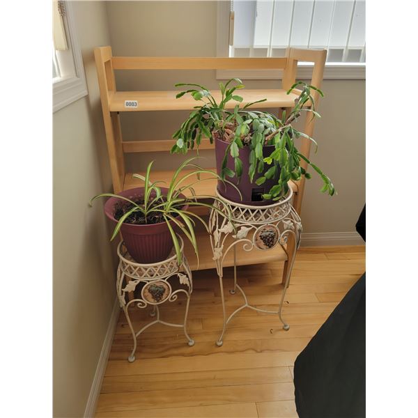 Wood Shelf 3.5' Tall with 2 Potted Plants & 2 Plant Stands