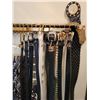 Image 3 : Assorted Ties & Belts