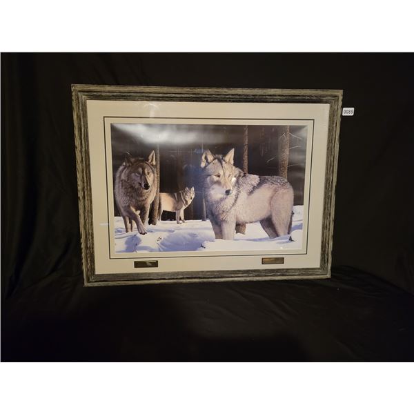 Ducks Unlimited Timber Wolf Print by John Stone 37 x 28