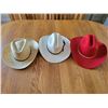Image 7 : Assorted Hats (Men's & Women's)