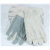 Image 1 : PACK OF 12 CLOTH WORK GLOVES