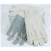 Image 1 : PACK OF 12 CLOTH WORK GLOVES