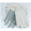 Image 1 : PACK OF 12 CLOTH WORK GLOVES