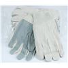 Image 1 : PACK OF 12 CLOTH WORK GLOVES