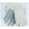 Image 1 : PACK OF 12 CLOTH WORK GLOVES