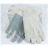 Image 1 : PACK OF 12 CLOTH WORK GLOVES