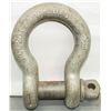 Image 1 : VANGUARD 1-3/4 WLL 25T SHACKLE