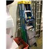 Image 2 : 2 WERNER 6' STEPLADDERS, COSCO STEP STOOL AND BIN OF MISC CORDS