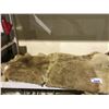 Image 2 : ASSORTMENT OF HIDES