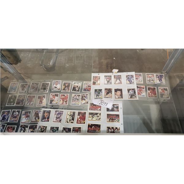 56 *MINT* ASSORTED 91-92 OPEE-CHEE, TEAM AND PLAYER HOCKEY CARDS
