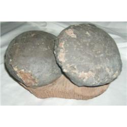 Pair of Museum Quality Dinosaur Double Eggs