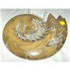 Image 1 : Single Moroccan Ammonite