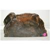 Image 1 : Petrified wood slice