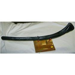 Dinosaur Rib - Allosaurus, 120 million yrs old