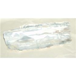 Petrified wood from Washington State