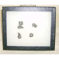 Set of small Sikote Alin meteorites, Russia