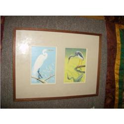 Watercolor of Birds by Robert Gilmore he was commissioned to paint this watercolors exclusively  for