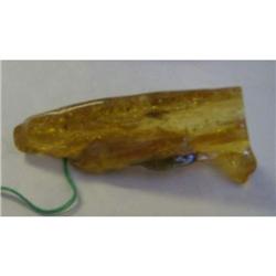 Copal-Prehistoric Moth inside- 5 million yrs old