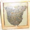 Image 1 : Pallisite Meteorite, 366 grams