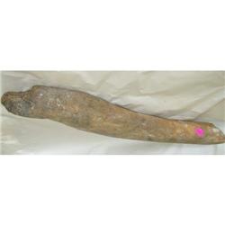 Mammoth Rib, 5 million yrs old, 19"long