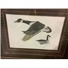 Image 2 : FRAMED SIGNED PRINT "CANADA GOOSE IN FLIGHT"