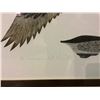 Image 3 : FRAMED SIGNED PRINT "CANADA GOOSE IN FLIGHT"