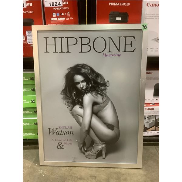 THE MAGICIANS SET DEC HIPBONE MAGAZINE FRAMED PRINT 26 X34-1/2 