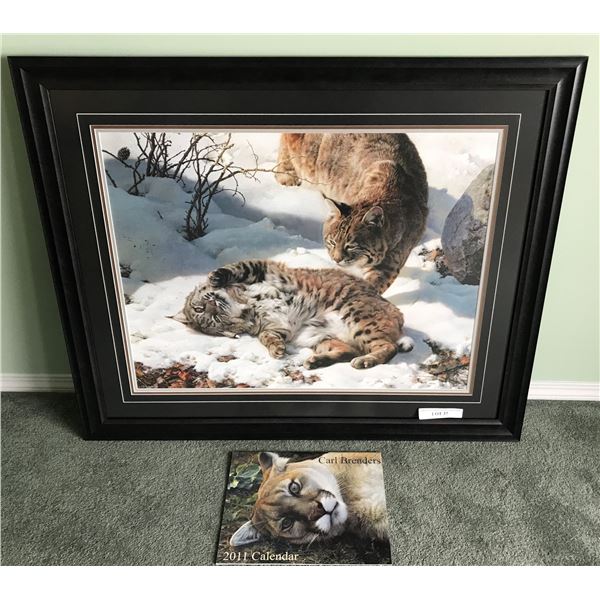 Carl Brenders Lynx Ltd Edition Print & 2011 Calendar