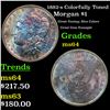 Image 1 : 1882-s Colorfully Toned Morgan Dollar $1 Grades Choice Unc