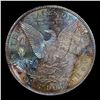Image 3 : 1886-p Colorfully Toned Morgan Dollar $1 Grades Choice Unc