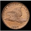Image 2 : ***Auction Highlight*** 1857 Flying Eagle Cent 1c Graded ms63 by SEGS (fc)