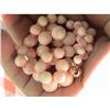 Image 1 : PINK CORAL PEAU D'ANGE #2367028