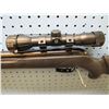 Image 8 : Gamo varmint .177 calibre pellet gun, velocity 1250 FPS with PBA Platinum, synthetic stock, Gamo sco