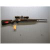 Image 1 : Savage Axis, 6.5 Creedmoor calibre, bolt action, clip, adjustable accutrigger, poly stock, Bushnell