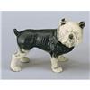 CAST IRON BULL DOG PIGGY BANK #2376663