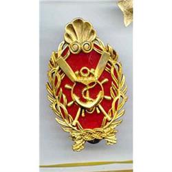 SALE Military Pin #2377332