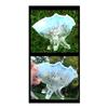Image 1 : NORTHWOOD BLUE OPALESCENT DAISY & PLUM FOOTED #2377929