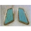 Image 1 : Earings Sterling & Turquoise c2000 Clips #2377961