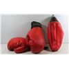 Image 1 : NEW PROTOCOL BOXING GLOVES & SPEED BAG. MED/LGE