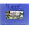 Image 2 : Igloo Cooler with Ice Packs