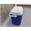 Image 3 : Igloo Cooler with Ice Packs